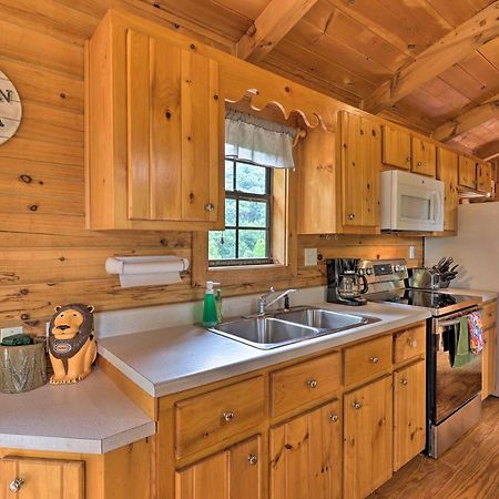 Quaint Log Cabin With Views Near West Jefferson Warrensville Εξωτερικό φωτογραφία